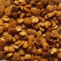 بذور الباذنجان