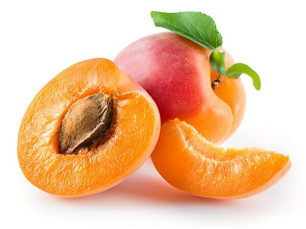 بذور المشمش
