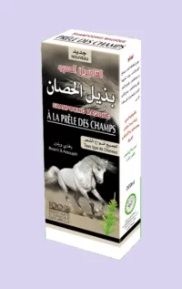 شامبوان بذيل الحصان