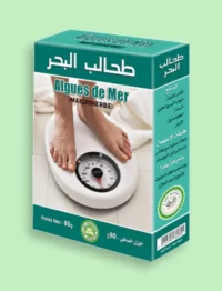 طحالب البحر