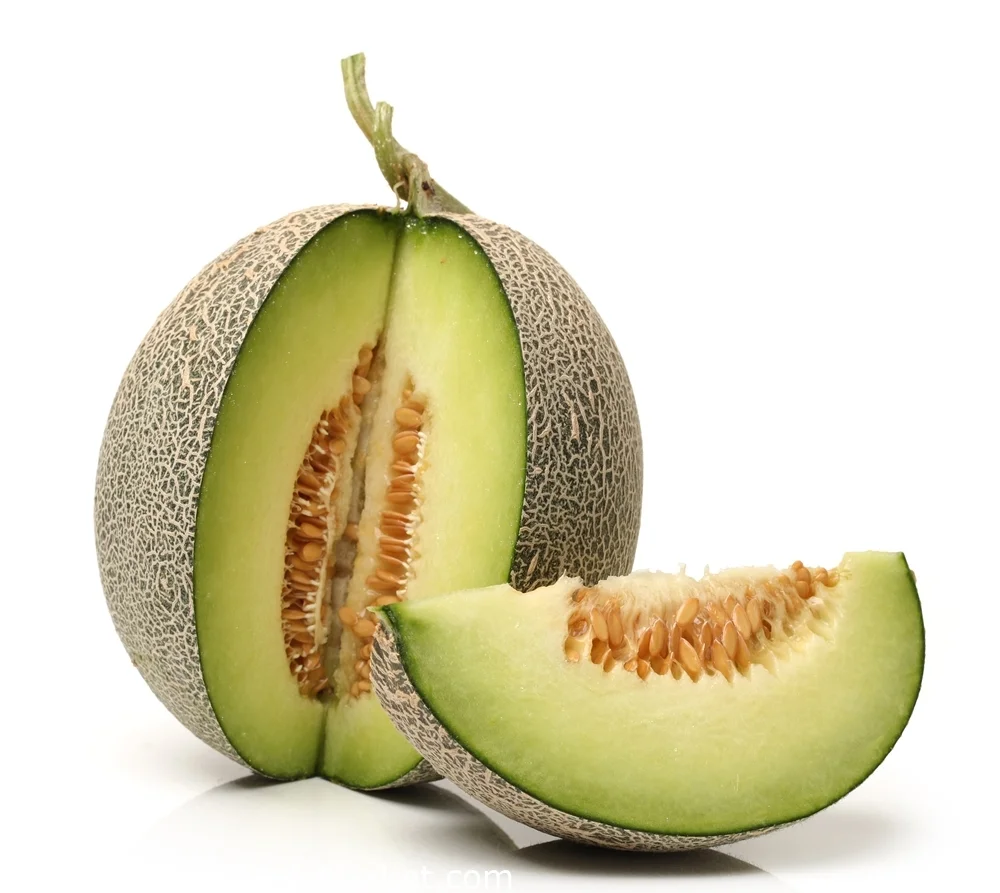 بذور الشمام