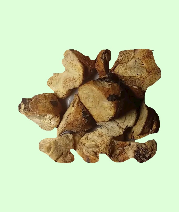 عشبة البكبوكة