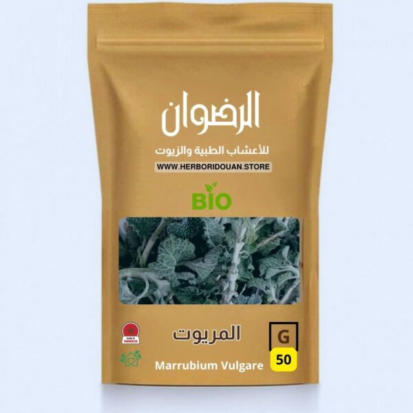 المريوت