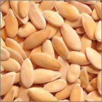بذور القطونة