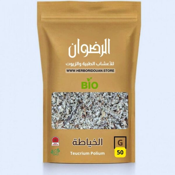 عشبة الخياطة