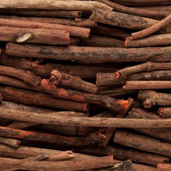 عشبة الفوة
