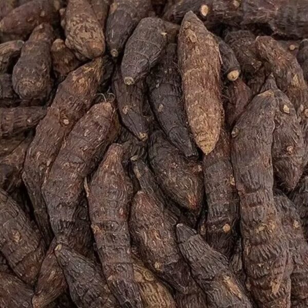 عشبة تارة الصحراوية