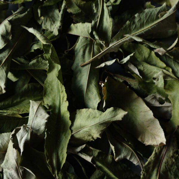 ورق الخوخ