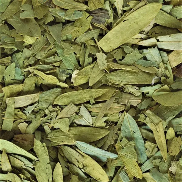 ورق السنا
