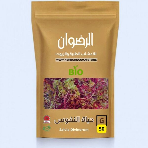 حياة النفوس