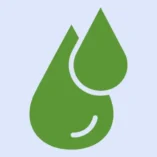 قسم الزيوت